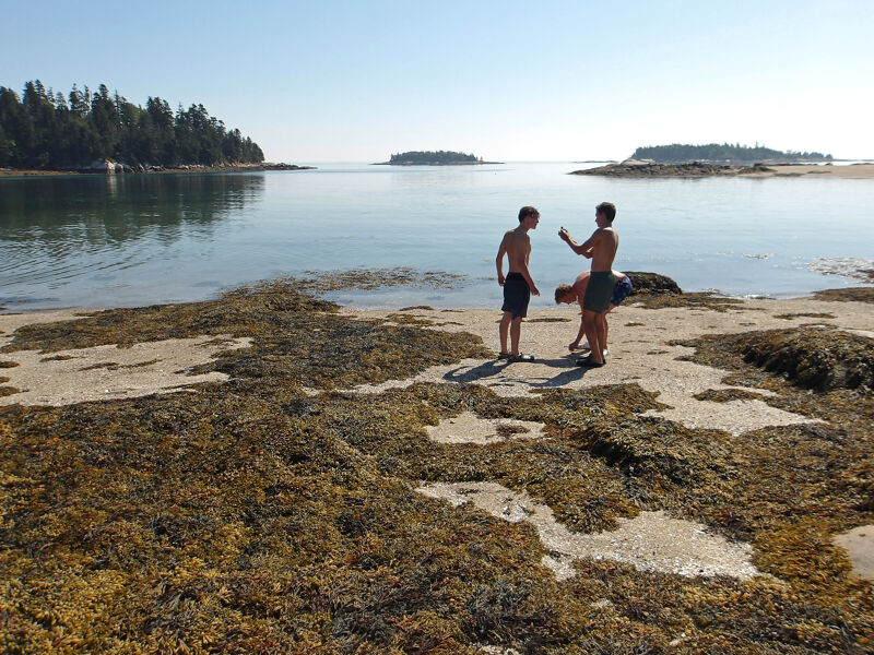 Two young people stand on a rocky, seaweed-covered beach near calm water on a sunny day. One of them is pointing towards the water. In the background, there are islands and a treeline. The sky is clear and blue. The overall scene suggests a coastal environment, possibly during a summer vacation or outing.