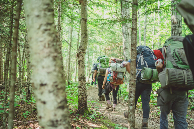 A group of people are hiking on a trail through a lush green forest. They are carrying large backpacks and hiking gear, suggesting they are on a multi-day trip. The trail is narrow and winds through the trees, with dappled sunlight filtering through the canopy. The focus is on the hikers in the foreground, with the others gradually fading into the distance.