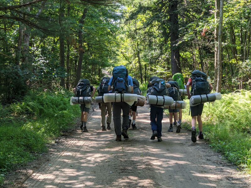 A group of hikers is walking down a dirt road in a forest. They are all wearing backpacks and carrying sleeping bags. The hikers are walking away from the camera, and the forest is dense and green. The road is narrow and winding, and the hikers are spread out along it.