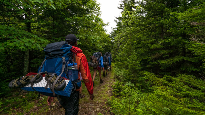 A group of hikers is walking on a trail through a dense forest. The hikers are wearing backpacks and hiking gear, and they appear to be enjoying the scenery. The trail is narrow and winding, and the trees are tall and green. The sun is shining through the trees, creating a dappled light effect on the trail.