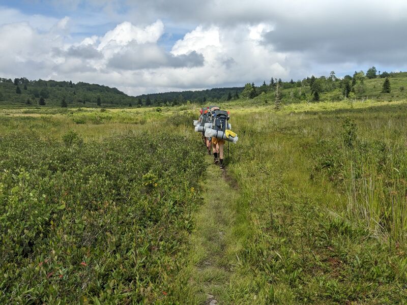 A group of backpackers hikes along a narrow trail through a grassy meadow. The trail cuts through dense green vegetation, leading towards a line of trees and hills in the distance. The sky is partly cloudy, with patches of blue visible. The backpackers are carrying large packs, suggesting a multi-day trip. The overall scene conveys a sense of adventure and immersion in nature.