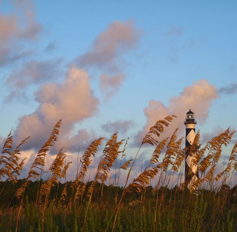 The image shows a lighthouse standing tall amidst a field of tall grass, with a backdrop of a blue sky dotted with fluffy clouds. The lighthouse is black and white and appears to be in the distance, while the grass is in the foreground and closer to the viewer. The scene is bathed in soft, warm light, suggesting it might be near sunrise or sunset.