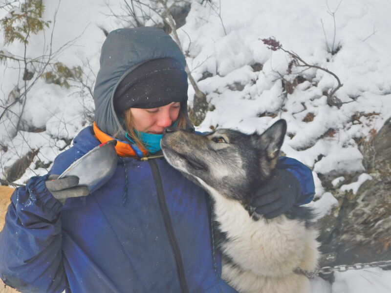 In a snowy outdoor setting, a person wearing a blue jacket, black gloves, and a black hat is embracing a dog. The dog is mostly gray and white. The person appears to be holding something in their left hand. The background consists of snow-covered trees and bushes, suggesting a cold, possibly mountainous environment. The focus is on the affectionate interaction between the person and the dog.