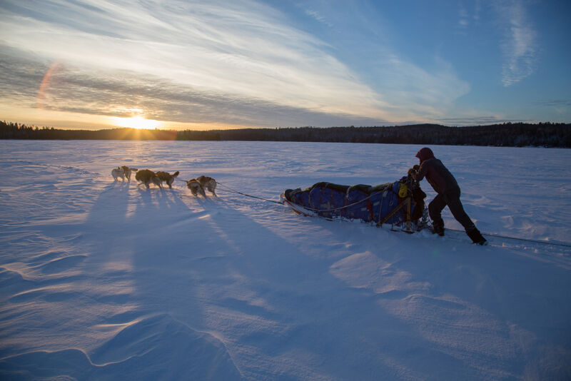 A person is pushing a sled being pulled by four dogs across a snowy landscape. The sun is setting in the background, casting long shadows across the snow. The scene suggests a winter adventure or expedition, possibly dog sledding. The landscape appears vast and open, with a treeline visible in the distance.