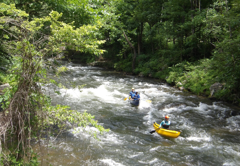 The image shows two people kayaking down a river. The river is surrounded by lush green trees and vegetation. The kayakers are navigating through the rapids, and the water is churning around them. The scene is bright and sunny, suggesting a pleasant day for outdoor activities.
