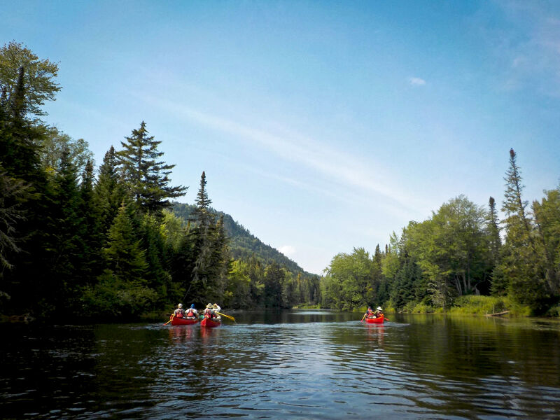 The image shows a serene river scene with lush green trees lining both sides. Several canoes, carrying people, are visible on the water, suggesting a recreational activity. The sky is blue with some clouds, contributing to the peaceful and natural ambiance of the landscape. The scene captures a moment of leisure and connection with nature.