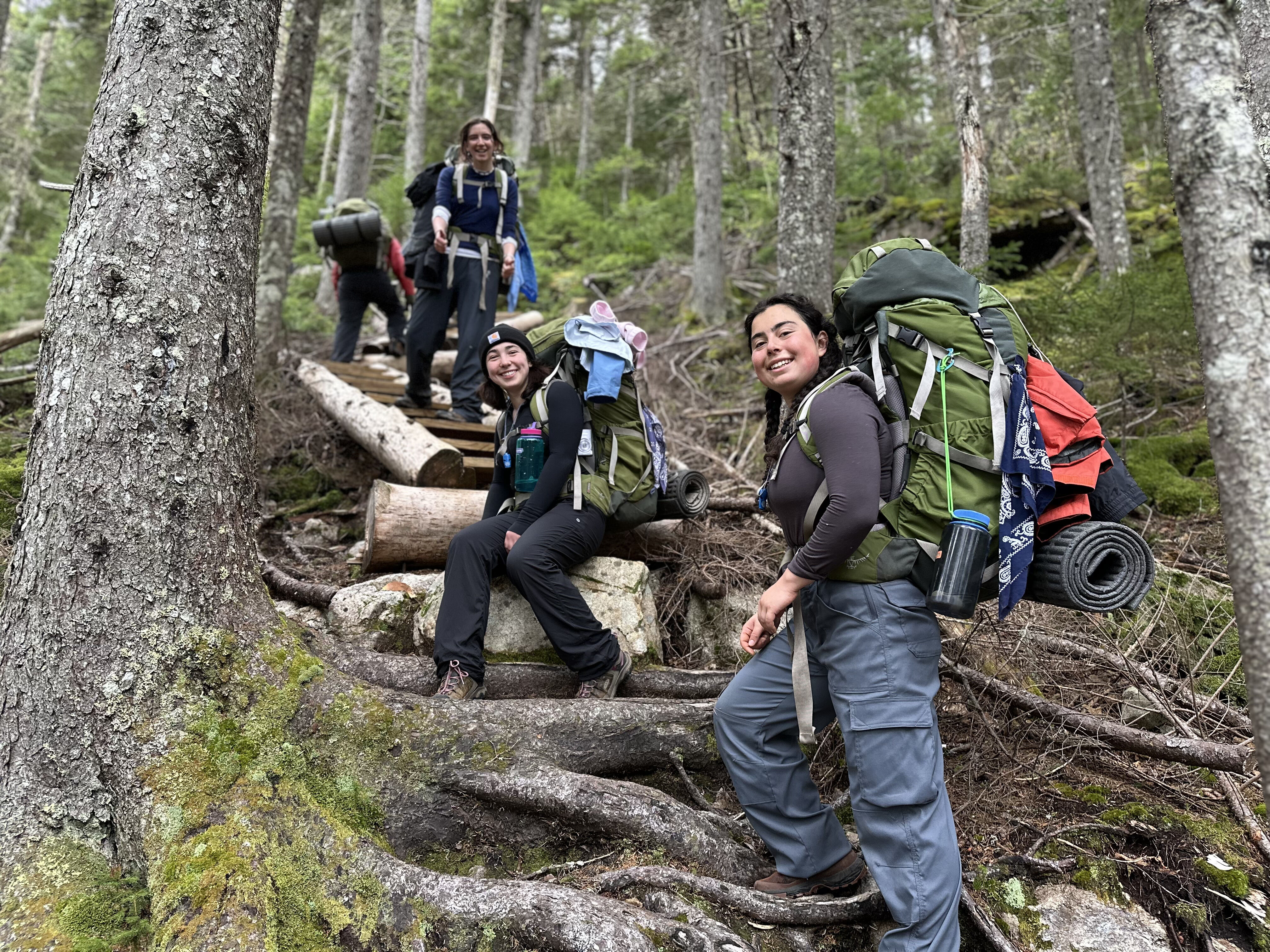 A group of five people are hiking in a forest. They are walking up a path made of logs and rocks. The hikers are wearing backpacks and hiking clothes. The forest is dense with trees and green foliage. The weather appears to be pleasant, and the hikers seem to be enjoying their outdoor adventure.