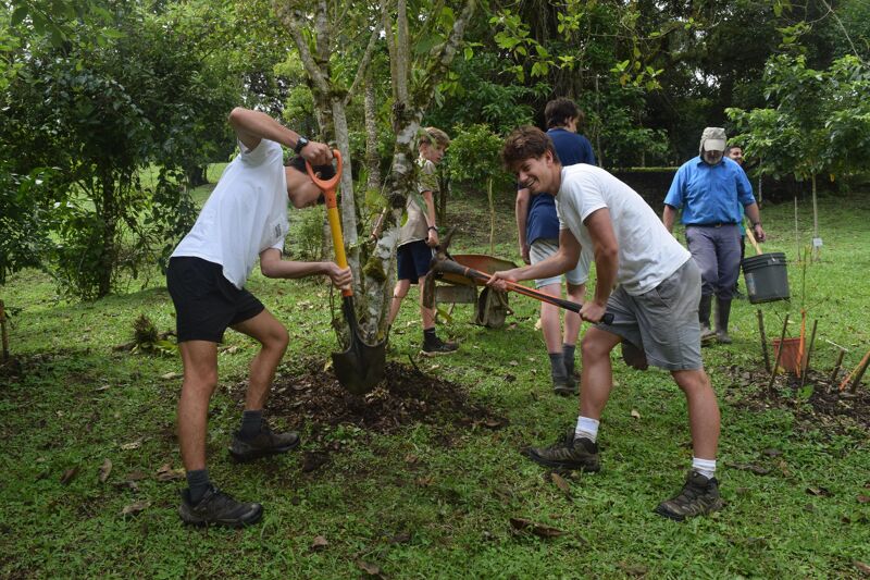 In a lush outdoor setting, two young men are diligently planting a tree. One is actively digging with a shovel, while the other supports the sapling. They are surrounded by green grass and trees, suggesting a conservation or community service project. In the background, other individuals are present, possibly assisting with the tree planting activity.
