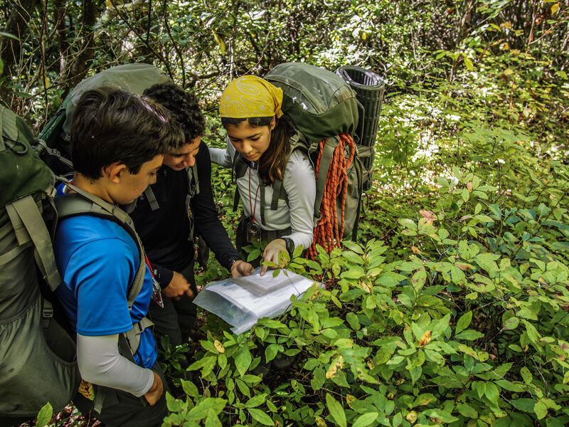 Three young hikers are gathered around a map in a lush, green forest. They are surrounded by dense foliage and trees, suggesting they are deep in the wilderness. The hikers are wearing backpacks and outdoor clothing, indicating they are prepared for a trek. One of them is pointing at the map, possibly discussing their route or current location. The scene conveys a sense of adventure and teamwork.